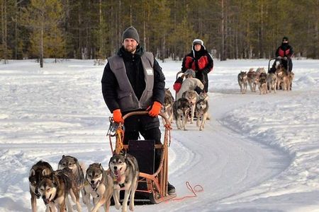 Husky Safari from Levi 2 KM or 5 KM with Husky Sledge Ride
