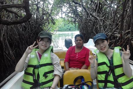 Madu River Boat Cruise From Colombo