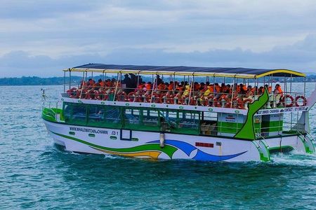 Whales & Dolphin Watching Day Tour including Handunugoda Teafactory 