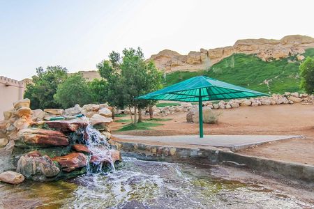 Private Tour : Al Ain City Sightseeing with Lunch from Dubai
