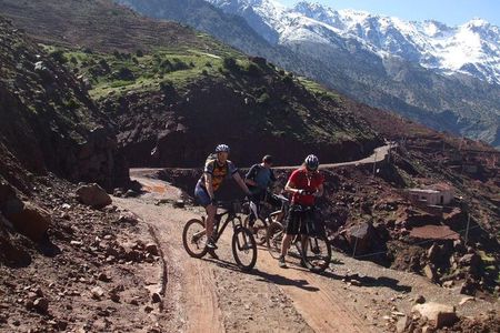 Mountain Biking Day Trip in the Atlas Mountain