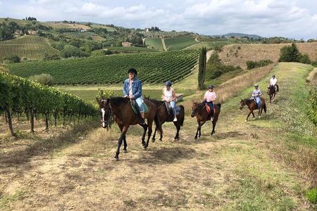 Horseback Ride in S.Gimignano with Tuscan Lunch Chianti Tasting