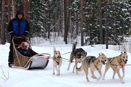 Lapland Reindeer and Husky Safari from Levi