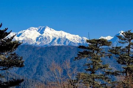 Darjeeling Tonglu Day Trek 