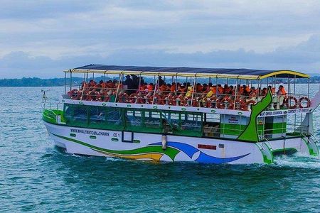 Whale & Dolphin Watching Day Tour including Handunugoda Teafactory 