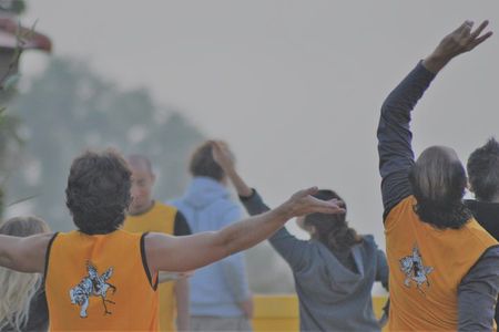 Morning Course - Shaolin Kung Fu and Qigong Training