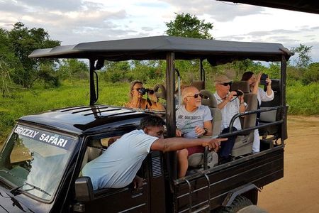 Yala half day safari 