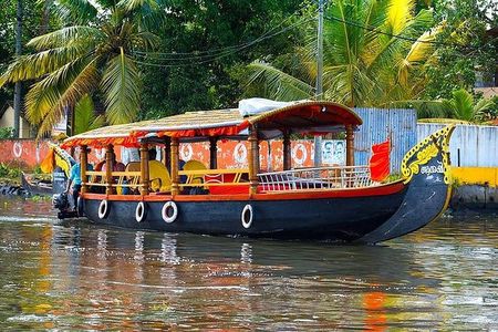 From Cochin Port: Backwaters by Shikara (Covered Canoe Boat) & Chinese Nets