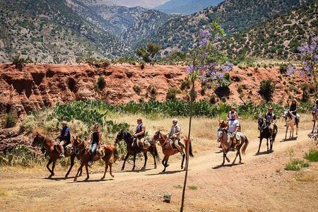 Horse Ride at the Marrakech Desert