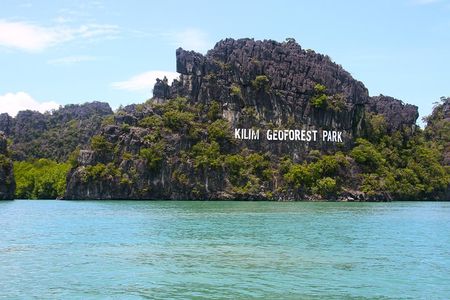 Kilim Geoforest Mangrove Boat Tour (Sharing)