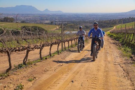 Cape Town: E-bike Wineland tour half-day
