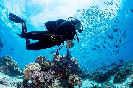  Hurghada: Full-Day Diving Tour with Lunch & Two Dive Sites