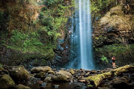 Wailua River & Waterfalls Kayak Tour: Expert-Guided Adventure
