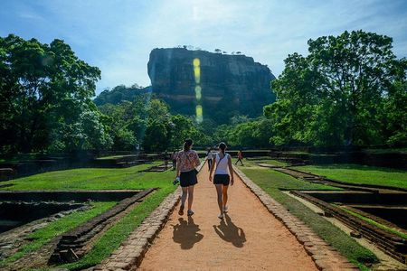 Exclusive : Sigiriya Rock Fortress and Dambulla Cave Temple Tour