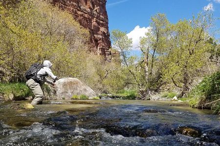 Guided Fly Fishing Experience in Park City