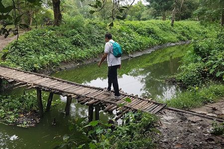 Walk the Kolkata Wetlands: Green Eye Candy