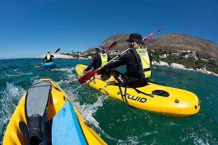 Paddle with the Penguins