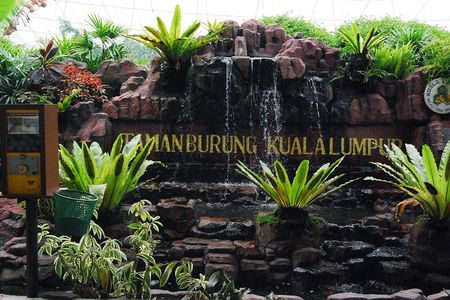 Kuala Lumpur Bird Park & Butterfly Farm Tour