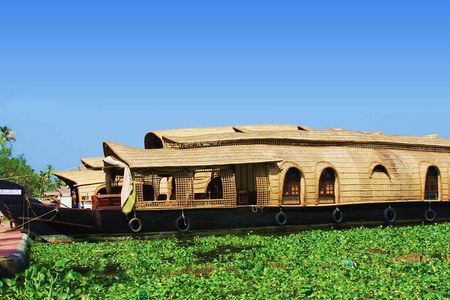 Kochi Private Tour : Backwater Cruise in Aleppey 