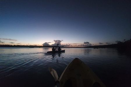 Night Kayaking Experience on Bioluminescent Lagoon in Fajardo