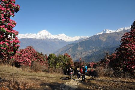 Nepal Round Tour with Annapurna Trek 14 Days
