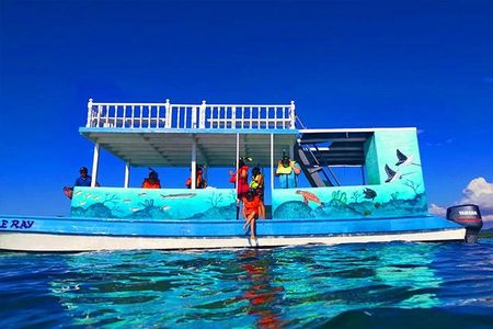 Roatan Private Catamaran Shipwreck, Blue Channel and Starfish with Transfer