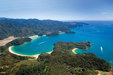 Seal Sanctuary Tour - Guided Kayaking - New Zealand