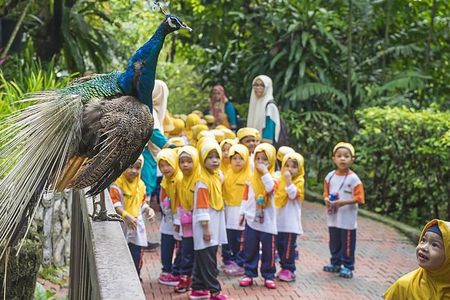 Bird Park & Butterfly Farm Nature Tour From Kuala Lumpur