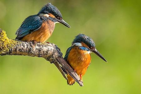Day Tour to Anawilundawa Wetland Sanctuary