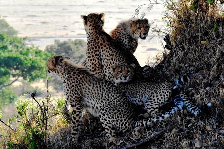2 Days Lake Nakuru Safari