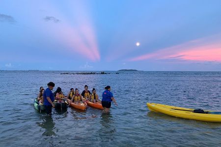 Bioluminescent Bay Night Kayaking, Fajardo 7:30pm