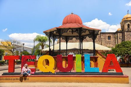 Tequila Route Experience from Guadalajara