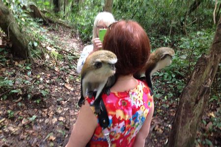 Guiding Tours In Ghana/West Africa