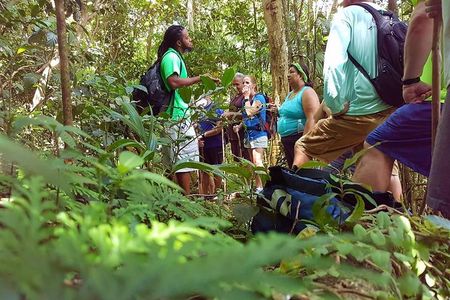 St Kitts Tropical Jungle Explorer Walk