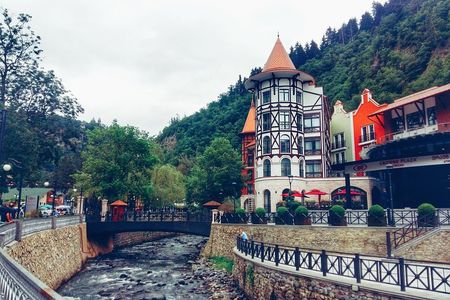 Private Day Trip to Borjomi and Rabati Castle