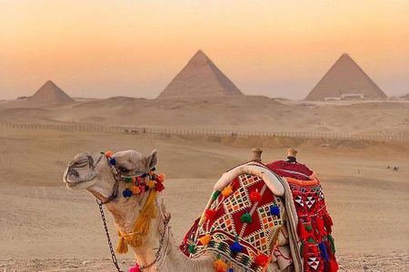 Cheap Private tour to Giza pyramids and the Sphinx 
