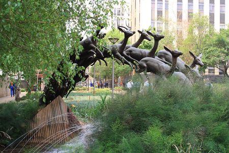 LocalPlaces Understanding Johannesburg Walking Tour