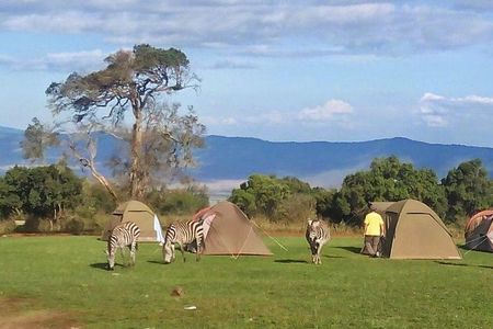 3 Days Tanzania Budget Safari