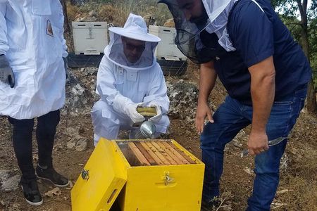 Wine, Olive Oil, and Honey Tour with Winemaker