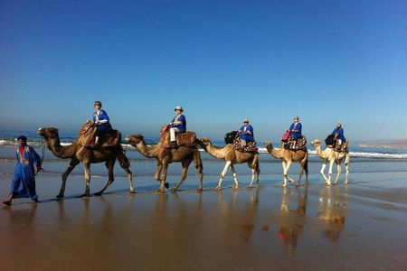 Agadir Sunset Camel Ride with Delicious Couscous & Barbecue 