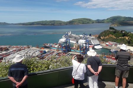 Dunedin Nature & City Tour – Full Day Cruise Excursion
