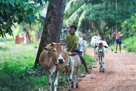 Lifestyle Tour with Homestay - 2 Days 1 Night