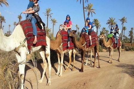 1 Hour CAMELS RIDE palmeraie (casa road ) min 2 pers-Private