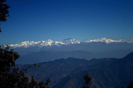 Top Tibba Day Hike and Dhanaulti Visit