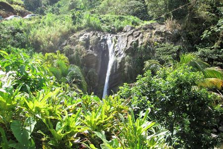 Half Day Grenada Sunshine Highlights Tour