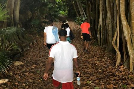 Bermuda Railway Trail and Off The Beaten Path Walking Experience
