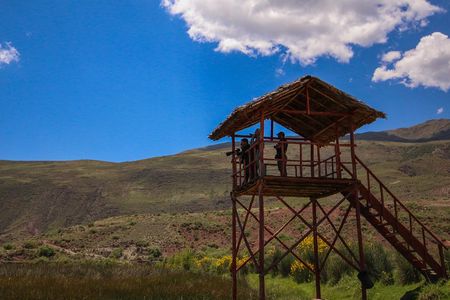 Birdwatching at Huacarpay Wetland in Cusco