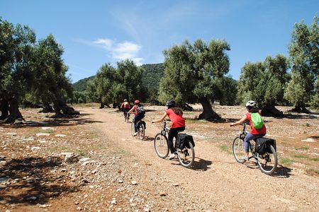 Bike oil tour in Monopoli