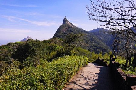 Tijuca Forest + Botanic Garden + Lage Park - by Alan Denis
