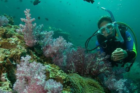 PADI Scuba Diver Course